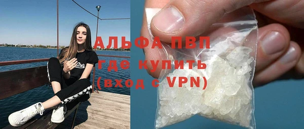 apvp Верея