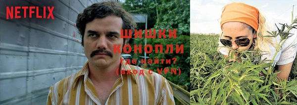 прущая мука Бородино