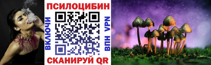 купить закладку Одинцово Псилоцибиновые грибы GOLDEN TEACHER